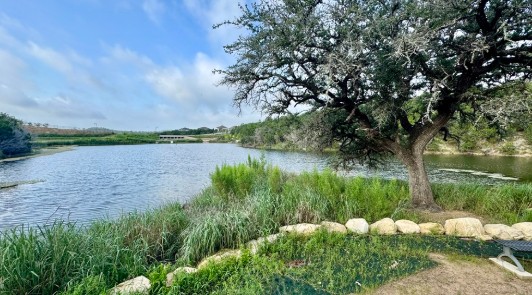 5233 Brunelli Pass Leander, TX 78641 - Photo 34 of 34 Travisso Community