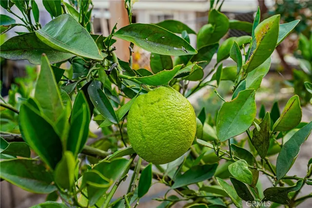 $649,999 | 29629 Big Range Road, Canyon Lake, CA 92587