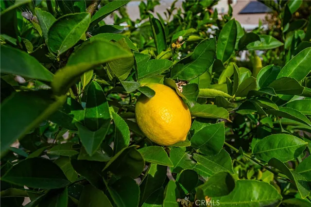 $649,999 | 29629 Big Range Road, Canyon Lake, CA 92587