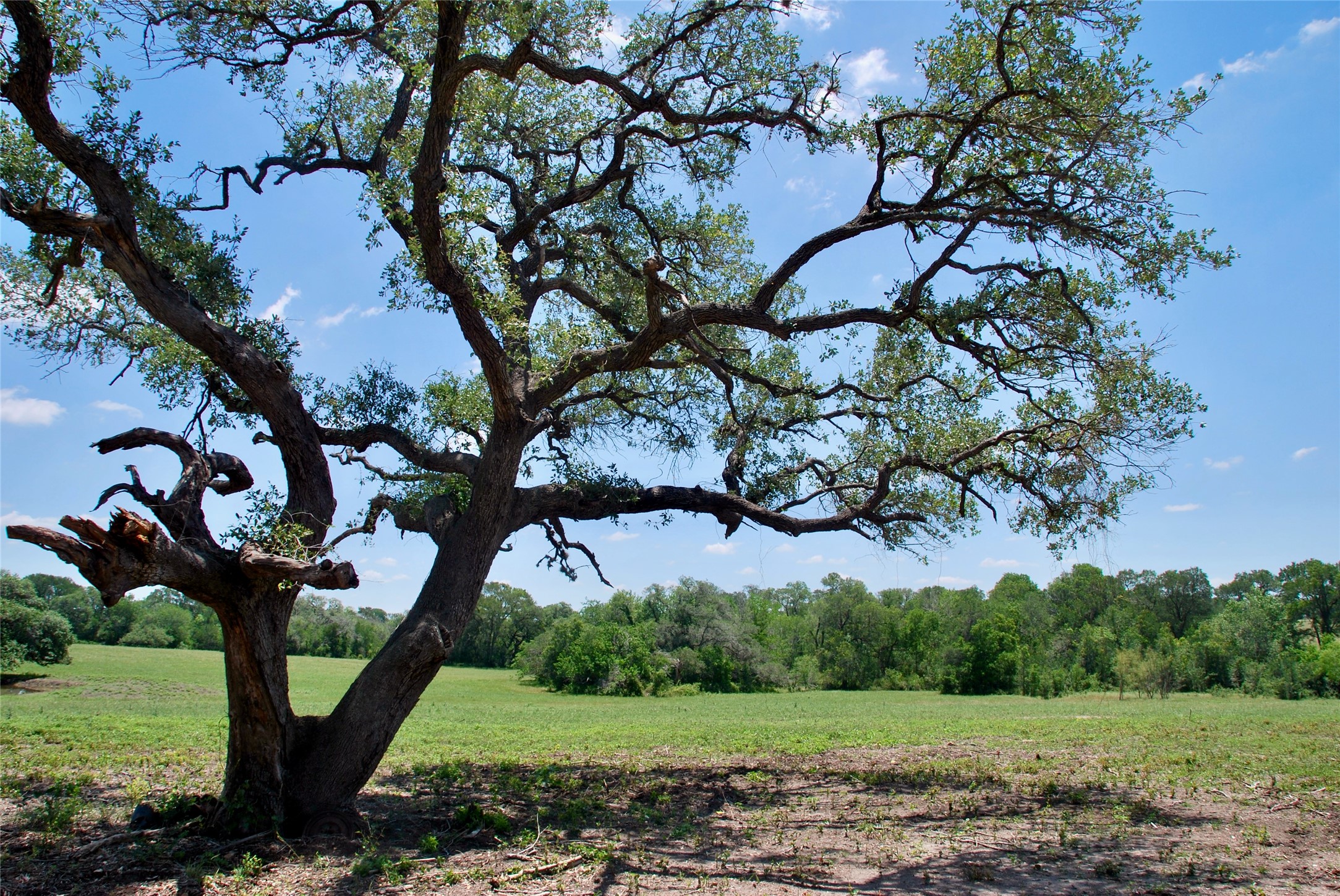 2170 Langdon Road Weimar, TX 78962 - Photo 28 of 31