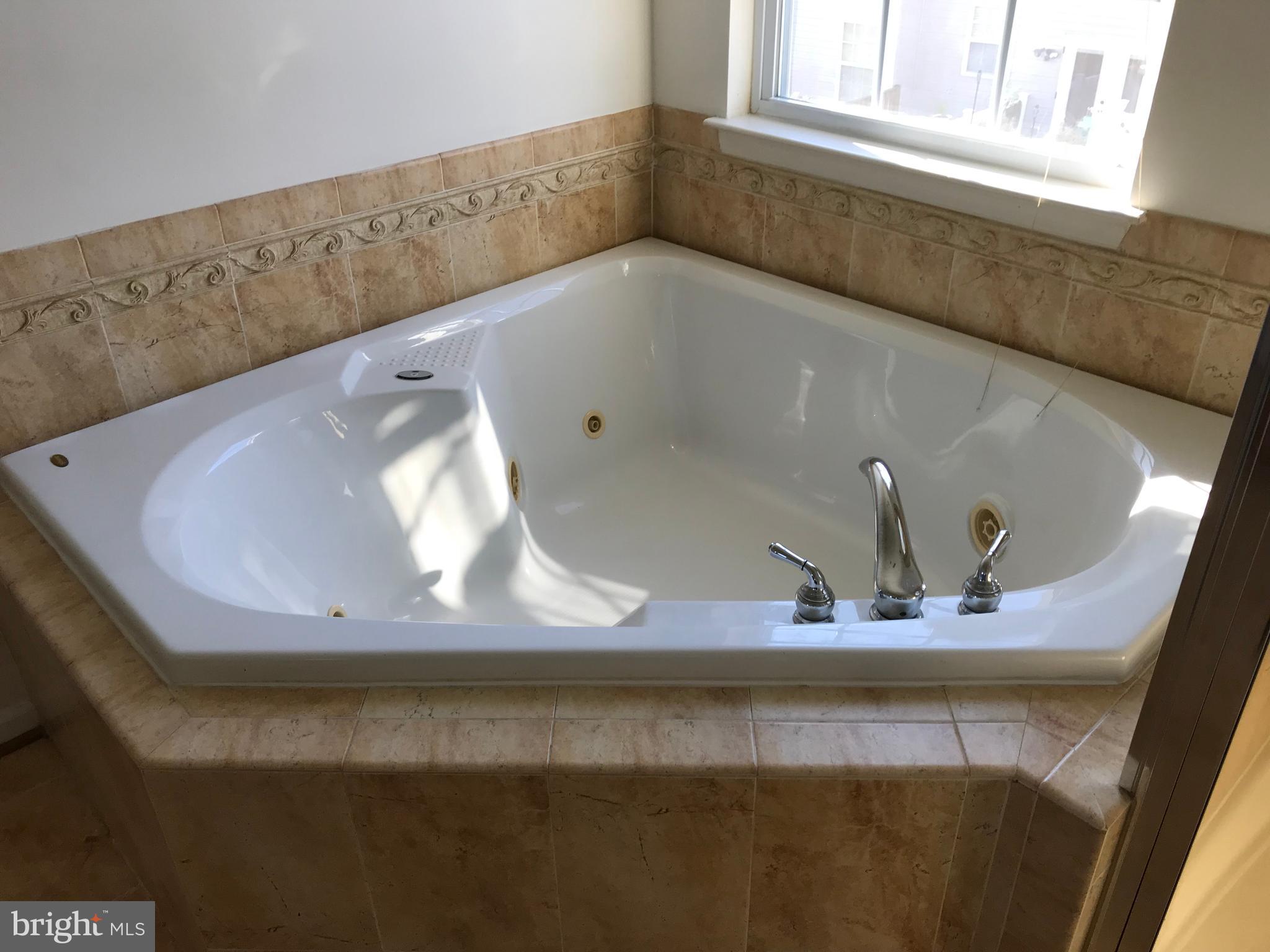 9730 Langley Road Baltimore, MD 21220 - Photo 18 of 31 jacuzzi