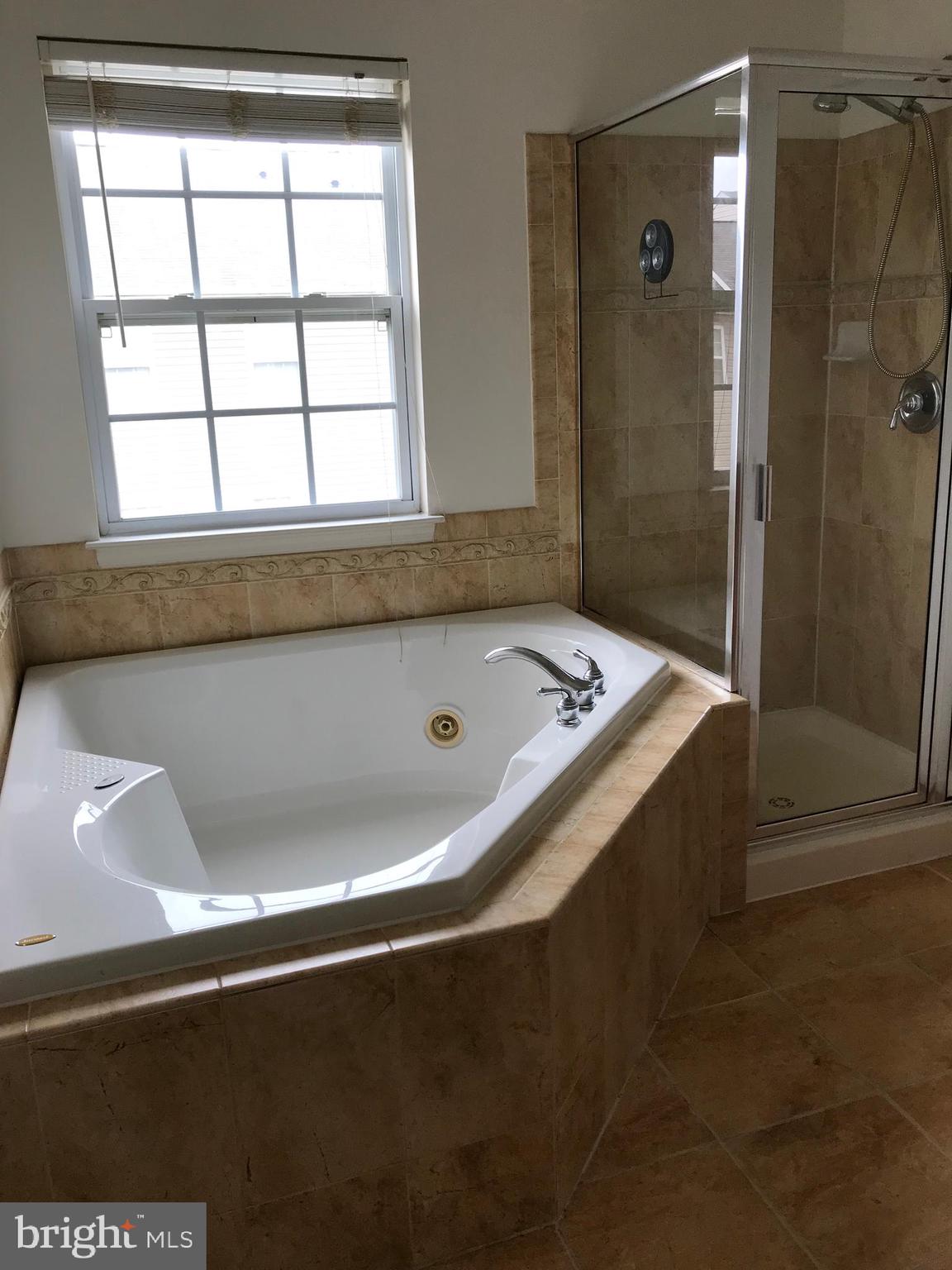 9730 Langley Road Baltimore, MD 21220 - Photo 19 of 31 master bath, tub and shower