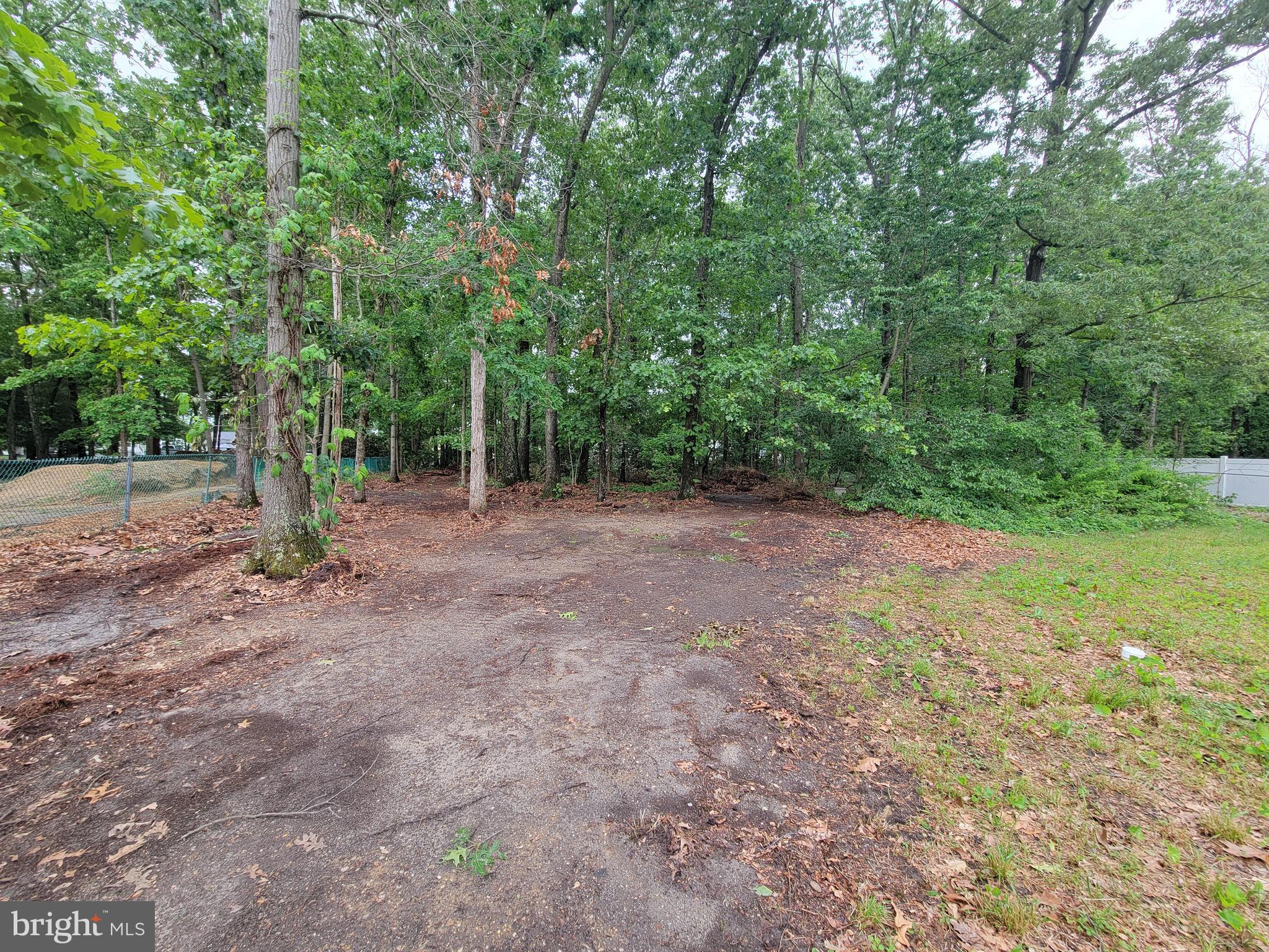 581 Township Line Road Franklinville, NJ 08322 - Photo 26 of 30 Wooded area -view from cleared area