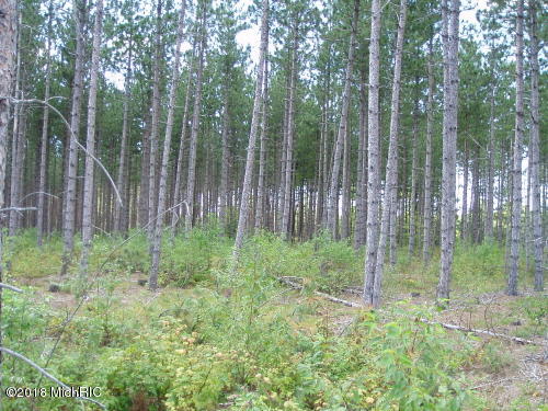 Harlan Road, Unit B Thompsonville, MI 49683 - Photo 4 of 6