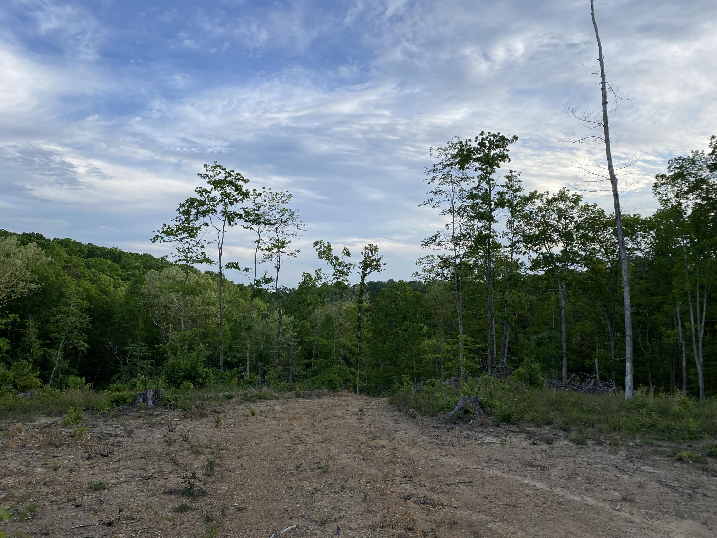 420 Mounce Road Somerset, KY 42501 - Photo 8 of 14 IMG_9111