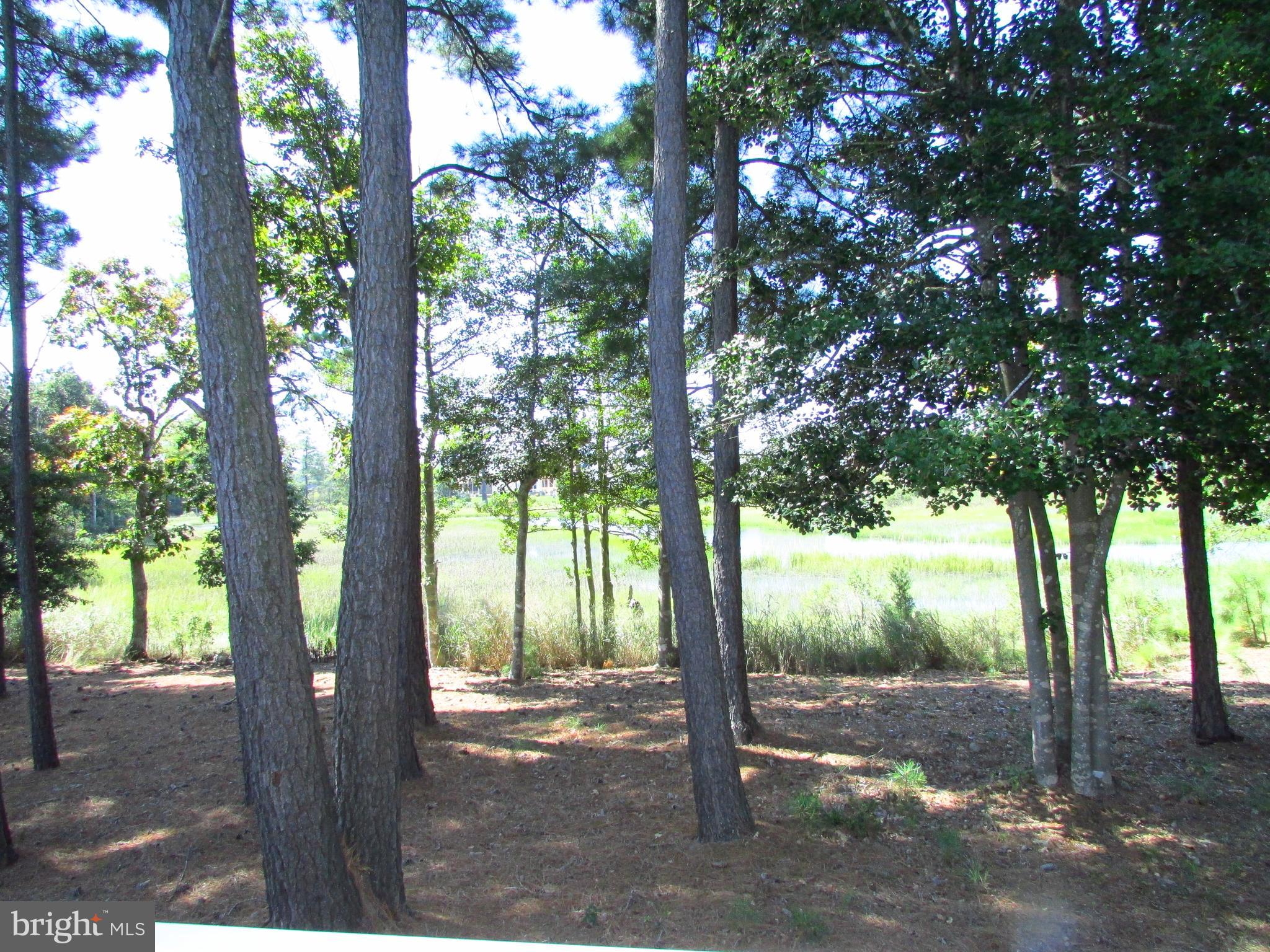 30671 Kingbird Court Ocean View, DE 19970 - Photo 21 of 21 a view of a tree in the forest