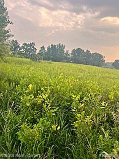 0 Vogt Road Fowlerville, MI 48836 - Photo 3 of 8