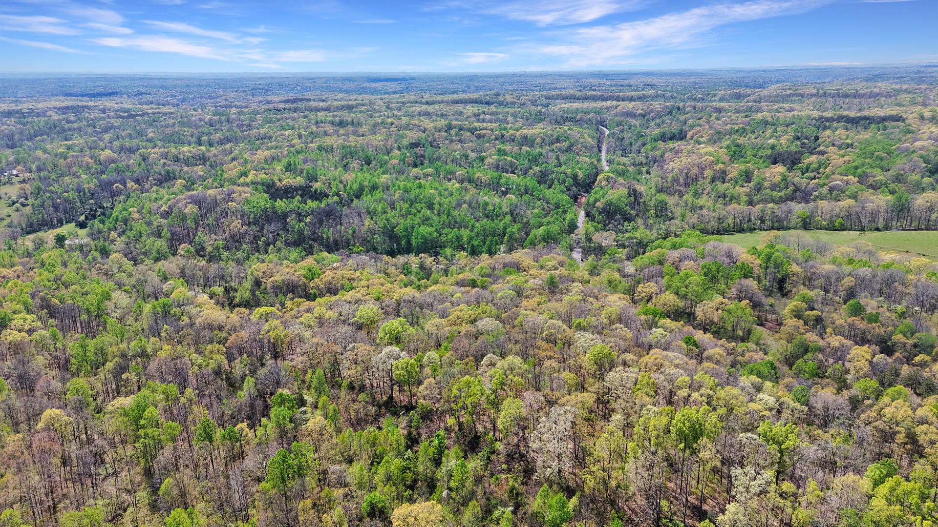 0 Brown Hollow Road Lyles, TN 37098 - Photo 6 of 18