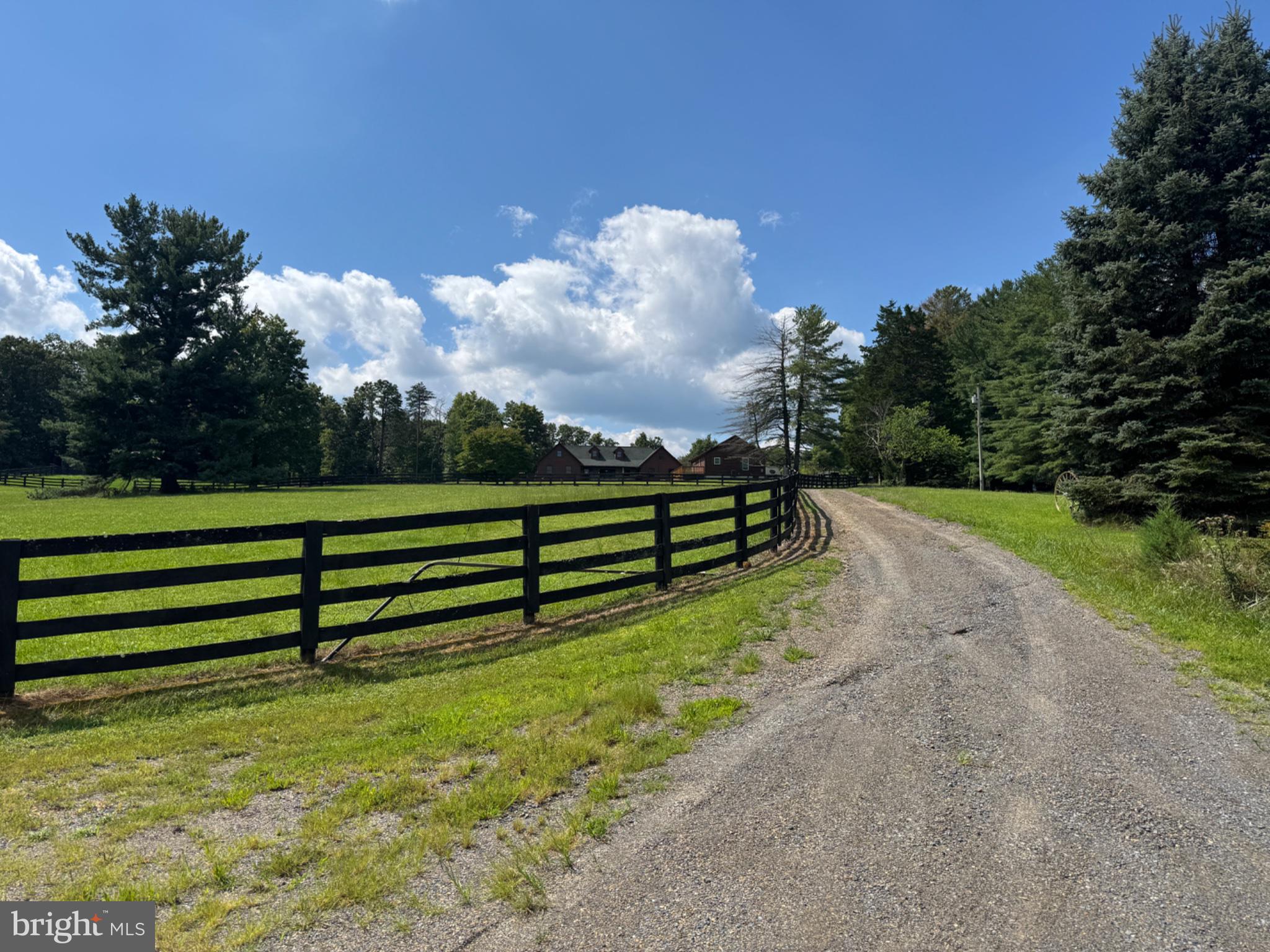 FROM THE DRIVEWAY