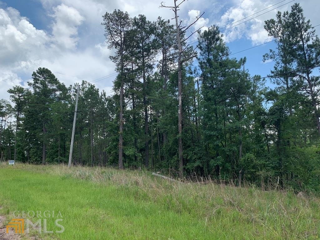 Lot 104 Old Ferry Road Sparta, GA 31087 - Photo 1 of 1 Gallery Image 1