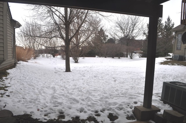 2017 Jeffrey Lane, Unit 2017 Elgin, IL 60123 - Photo 17 of 18