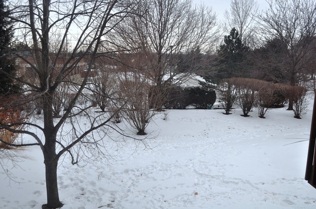 2017 Jeffrey Lane, Unit 2017 Elgin, IL 60123 - Photo 18 of 18