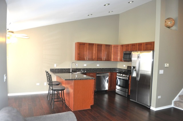 2017 Jeffrey Lane, Unit 2017 Elgin, IL 60123 - Photo 5 of 18