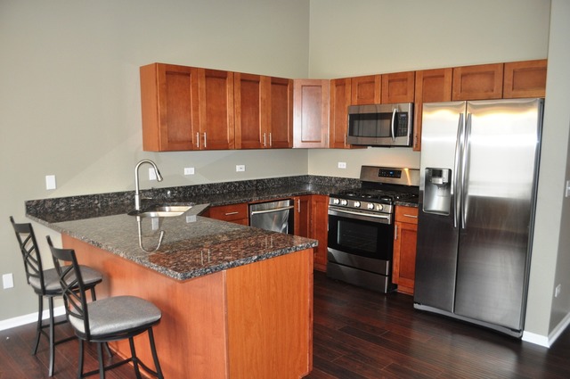 2017 Jeffrey Lane, Unit 2017 Elgin, IL 60123 - Photo 6 of 18