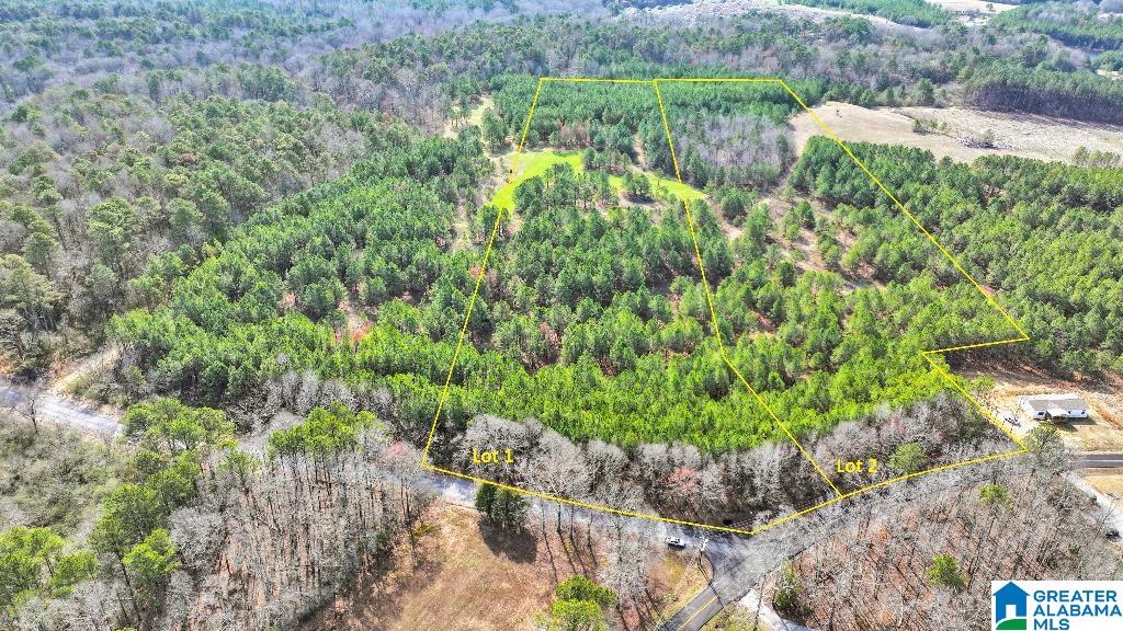 Duncan Road Jasper, AL 35503 - Photo 2 of 5