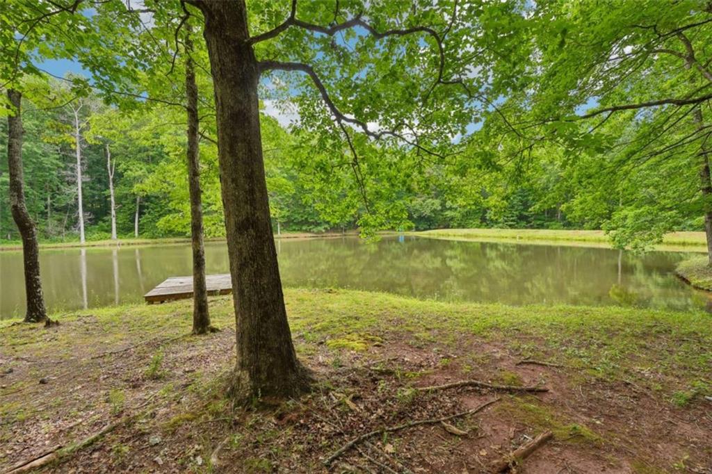 164 Vaughn Road Newnan, GA 30265 - Photo 58 of 61