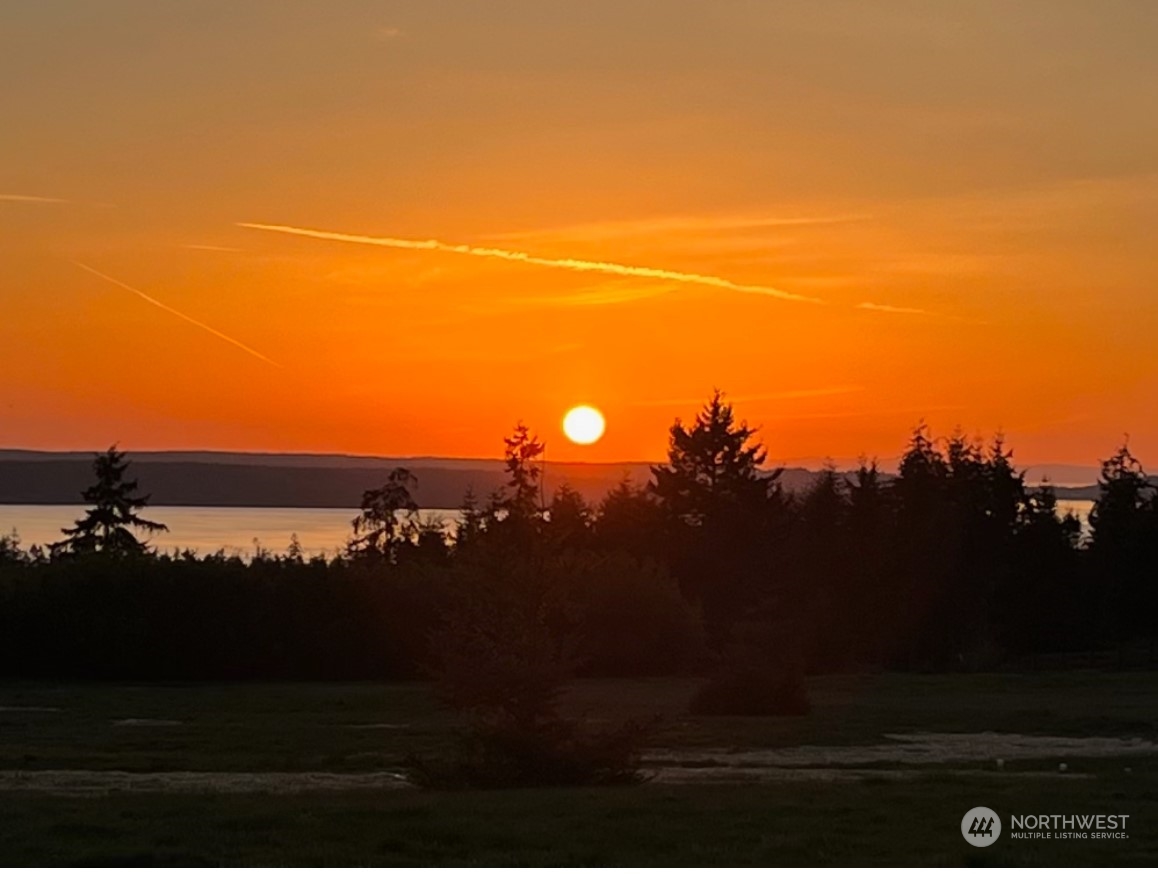 596 Peters Road Greenbank, WA 98253 - Photo 4 of 23 Gallery Image 4