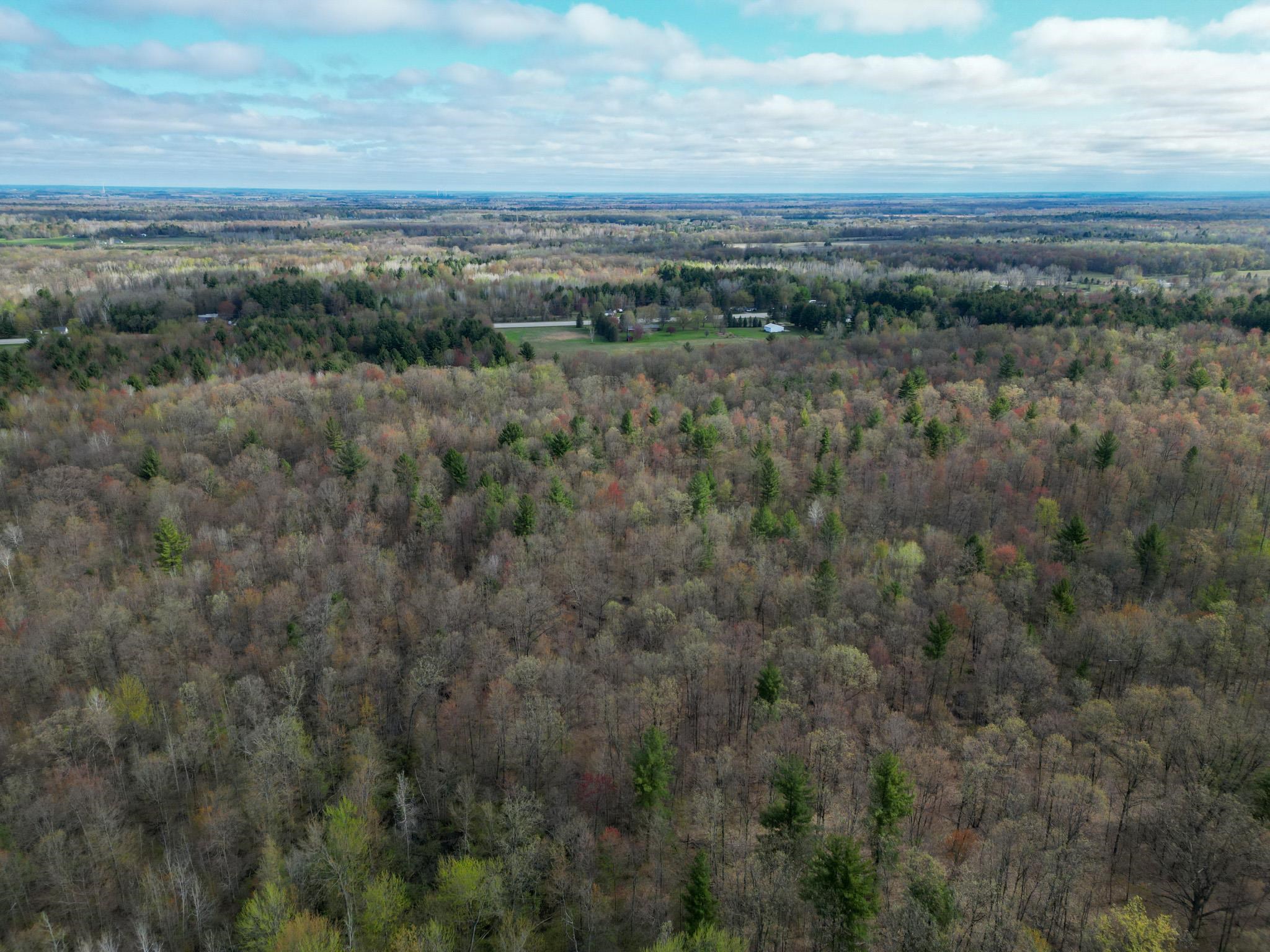 8670 East Pickard Road Mount Pleasant, MI 48858 - Photo 40 of 45