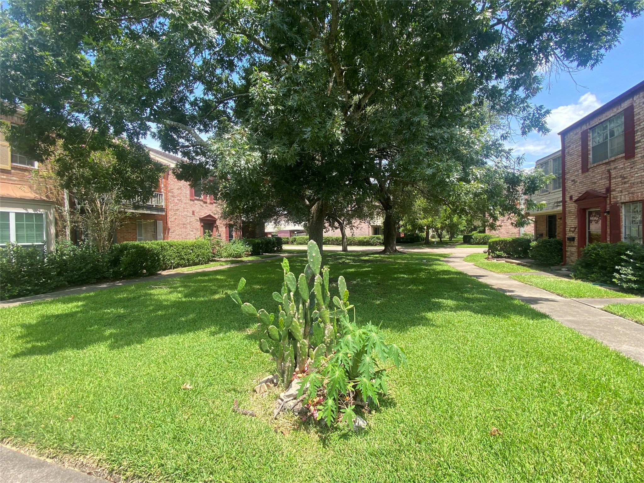 7913 Grove Ridge Drive Houston, TX 77061 - Photo 3 of 24 Nestled in an easy-to-maintain townhouse community
