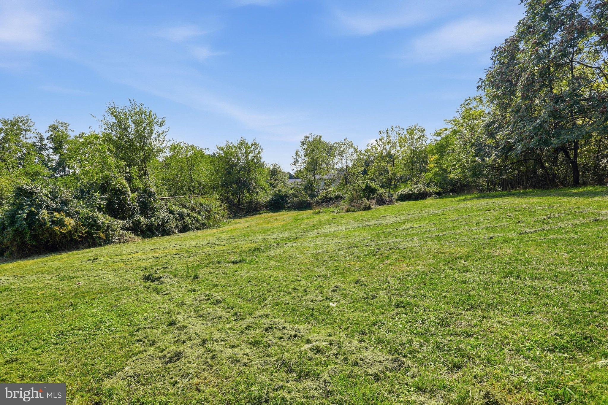 13835 McIntosh Circle Clear Spring, MD 21722 - Photo 30 of 32 Lush green expanse under a clear blue sky.