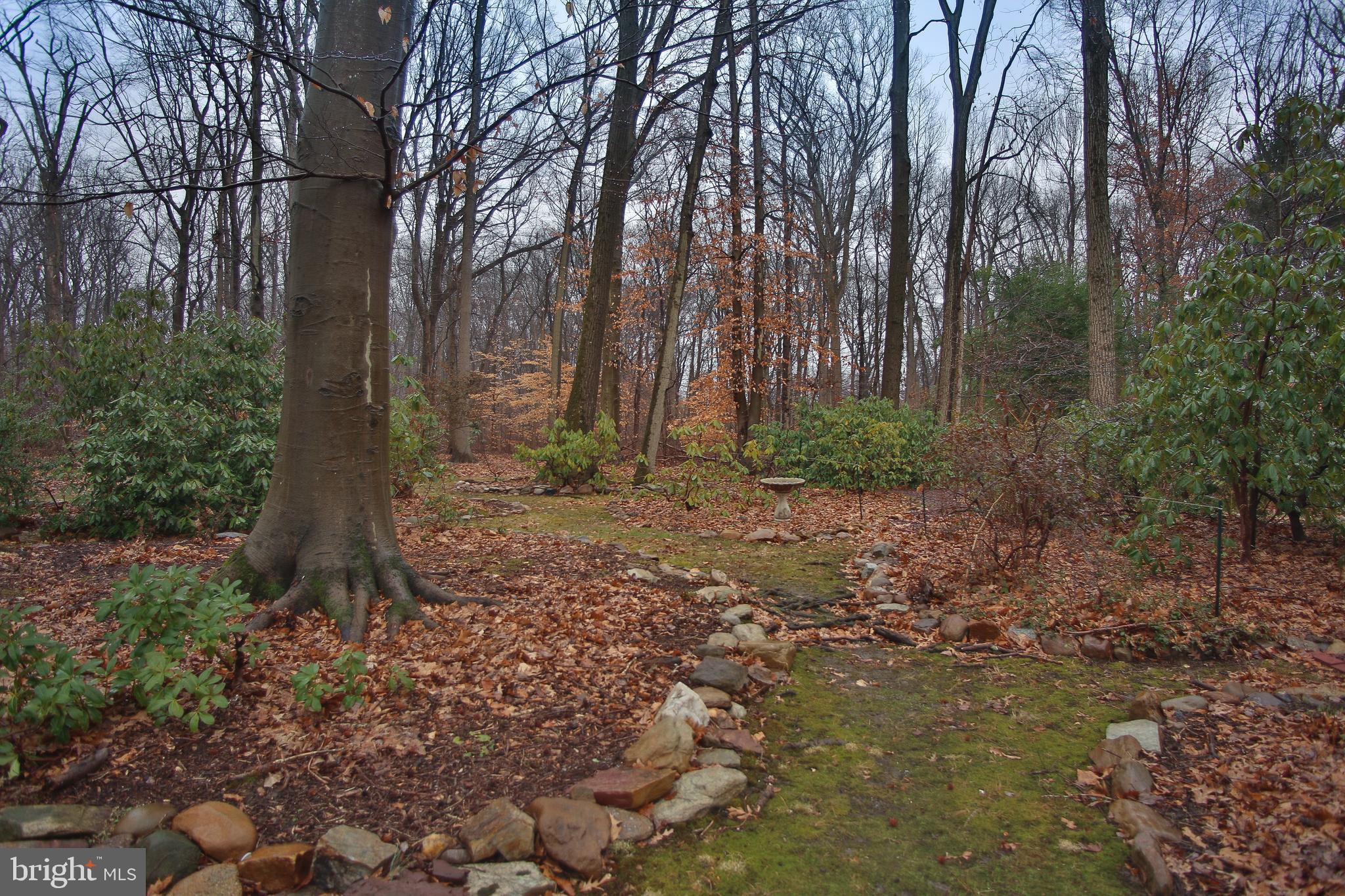 286 Forrest Road Yardley, PA 19067 - Photo 14 of 14 Rear Yard