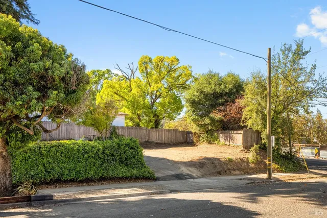 a view of a yard with plants and trees