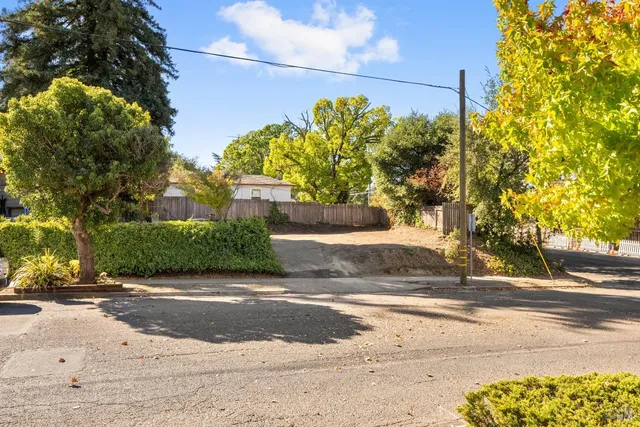 a view of a street with flower plants
