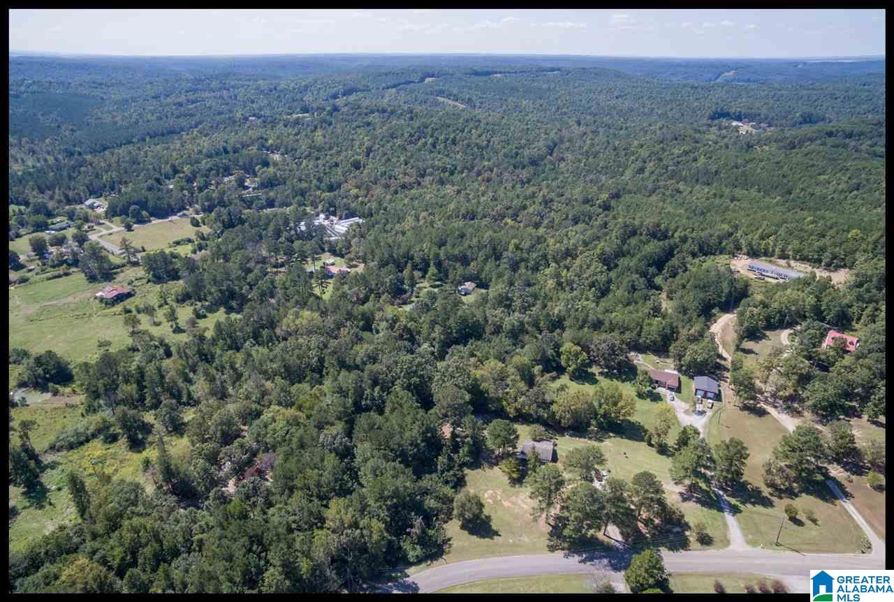 7142 Groundhog Road Morris, AL 35116 - Photo 29 of 29
