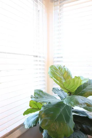 a close up of a white sink