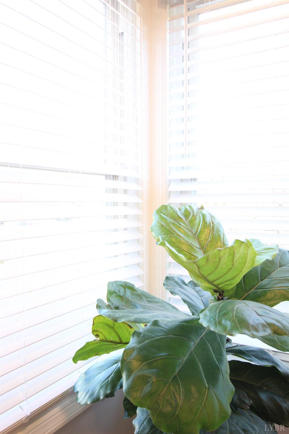 609 Midvale Street Lynchburg, VA 24502 - Photo 4 of 18 a close up of a white sink