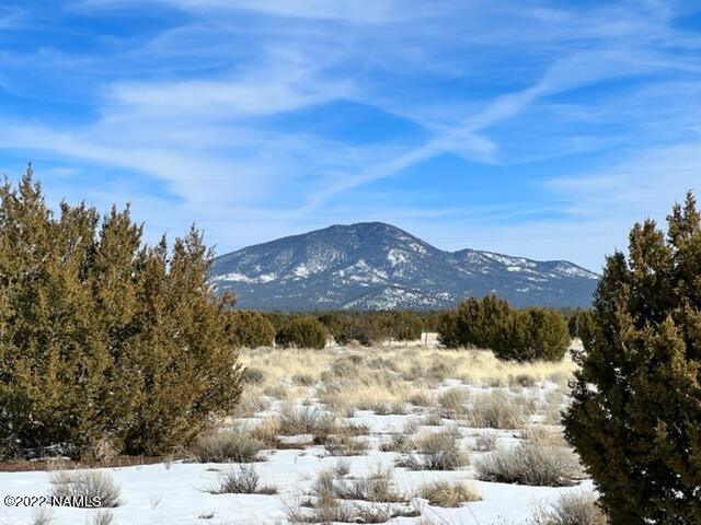 2444 Hoctor Road, Unit A Williams, AZ 86046 - Photo 1 of 17 2444 E Hoctor