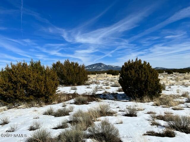 2444 Hoctor Road, Unit A Williams, AZ 86046 - Photo 17 of 17 IMG_1674