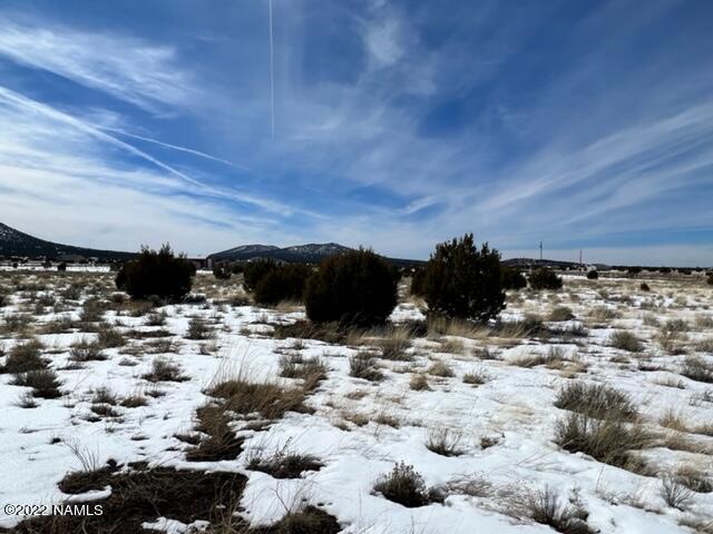 2444 Hoctor Road, Unit A Williams, AZ 86046 - Photo 6 of 17 IMG_1672