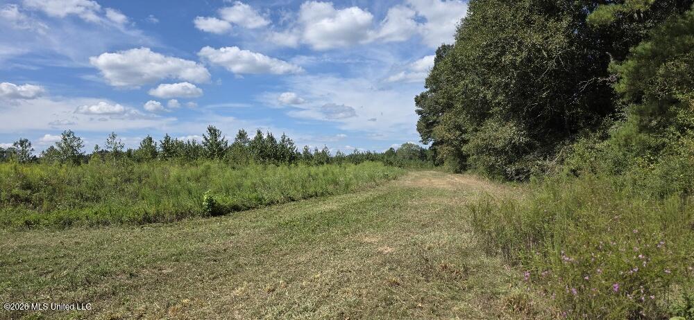 1107 Charlie Rhodus Road Magnolia, MS 39652 - Photo 2 of 18 20260925_140304_resized (1)