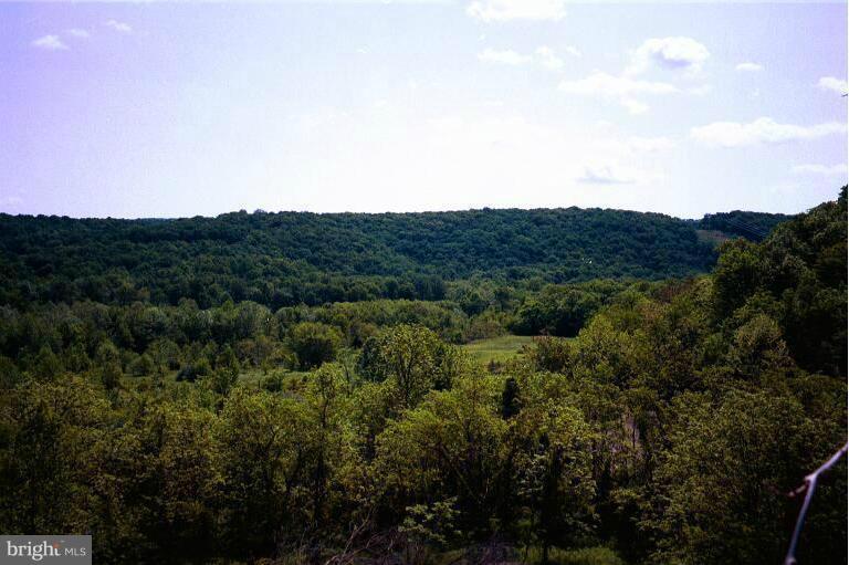14228 Back Creek Valley Road Hedgesville, WV 25427 - Photo 24 of 30 It's all yours. Mostly southern exposure.