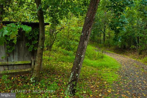 14228 Back Creek Valley Road Hedgesville, WV 25427 - Photo 28 of 30 Walking/driving path to Back Creek