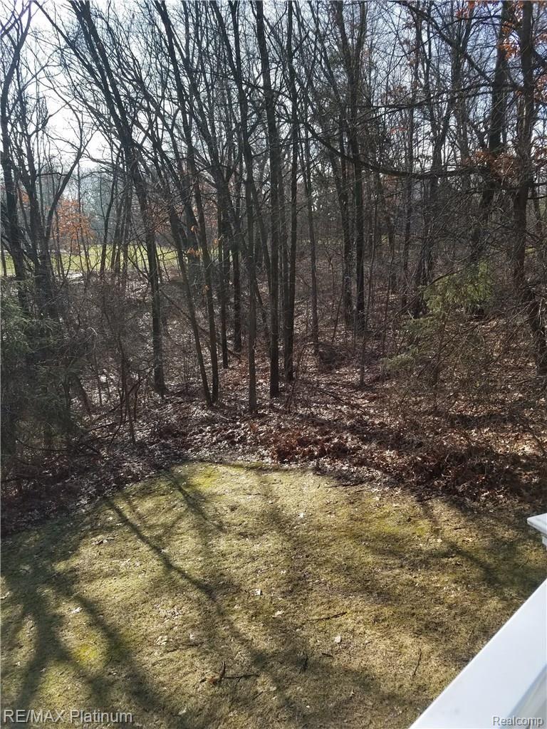 7774 Lee Road Brighton, MI 48116 - Photo 3 of 9 20170119_130640 (1) lee back.jpg