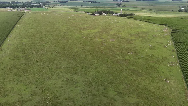 $999,999 | 56 40th Avenue, Jasper, MN 56144