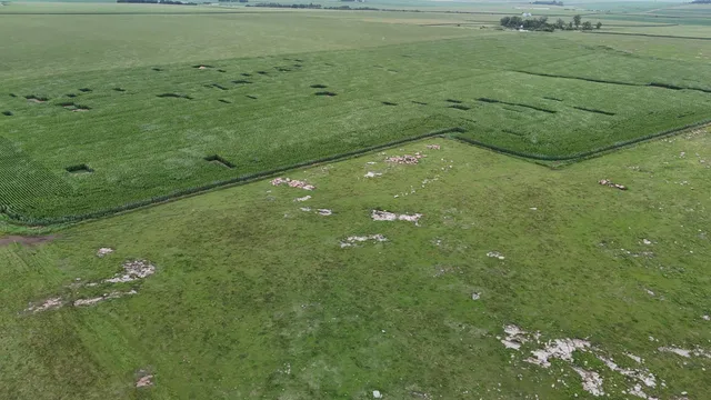 $999,999 | 56 40th Avenue, Jasper, MN 56144