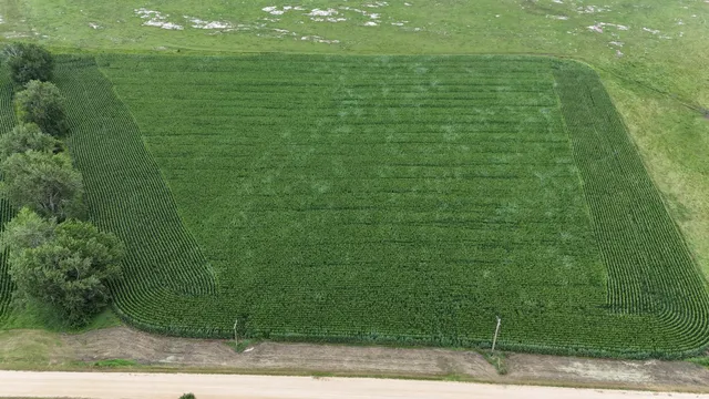 $999,999 | 56 40th Avenue, Jasper, MN 56144