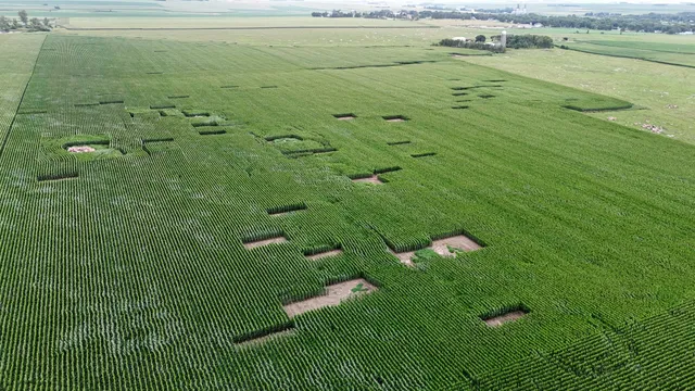 $999,999 | 56 40th Avenue, Jasper, MN 56144