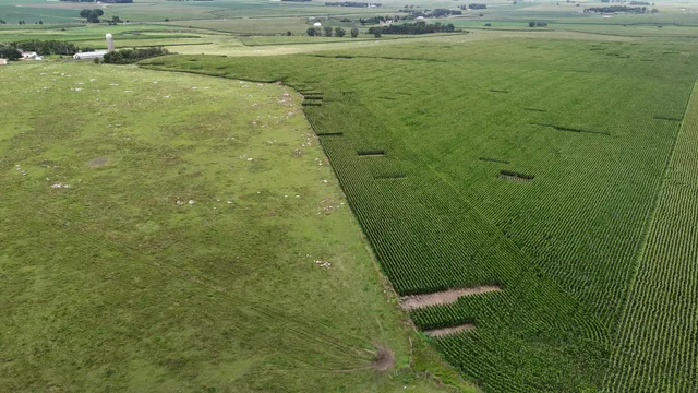 $999,999 | 56 40th Avenue, Jasper, MN 56144