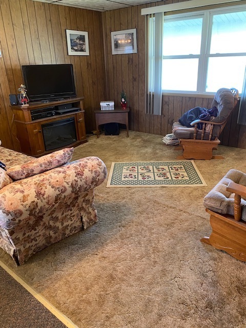 206 North 4th Street Danforth, IL 60930 - Photo 15 of 18 a bedroom with bed and flat screen tv