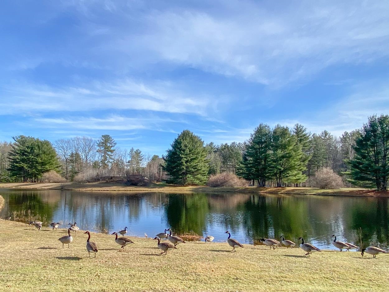 1 Ridgewood Drive, Unit Q Atkinson, NH 03811 - Photo 36 of 40