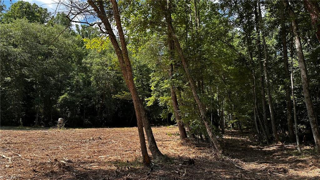 0 River Road Boonville, NC 27011 - Photo 12 of 30 Gallery Image 12