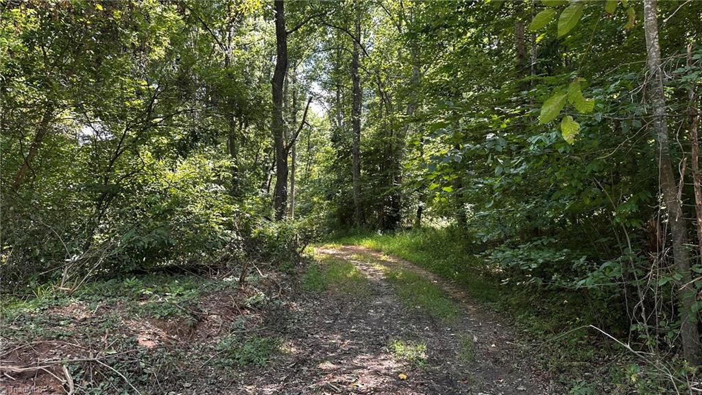 0 River Road Boonville, NC 27011 - Photo 13 of 30 Gallery Image 13