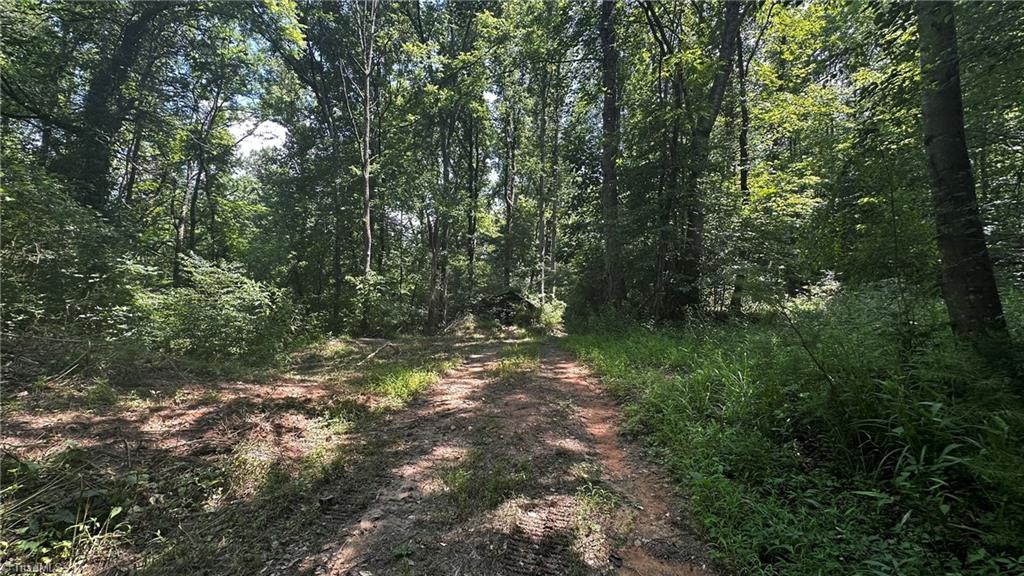 0 River Road Boonville, NC 27011 - Photo 16 of 30 Gallery Image 16