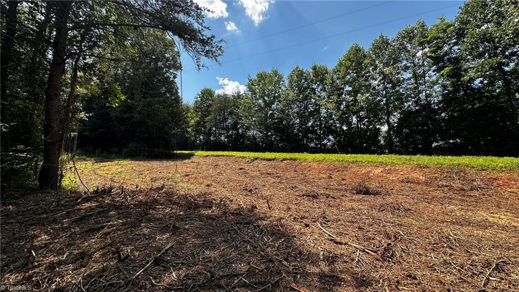 0 River Road Boonville, NC 27011 - Photo 17 of 30 Gallery Image 17