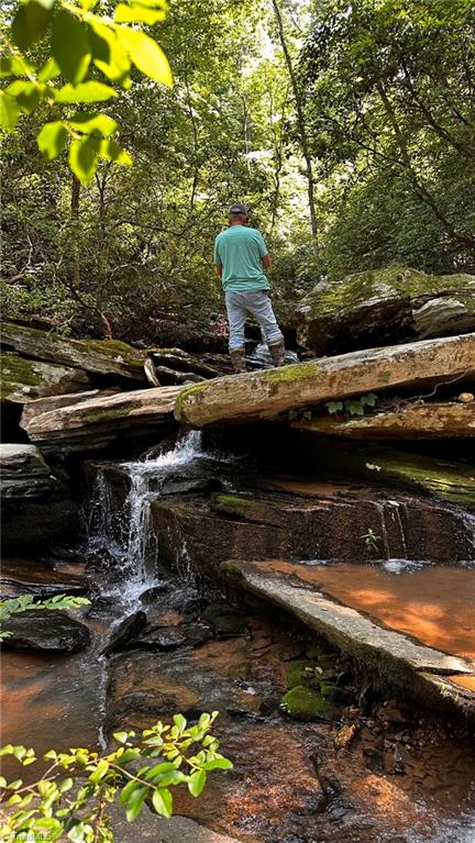 0 River Road Boonville, NC 27011 - Photo 20 of 30 Gallery Image 20