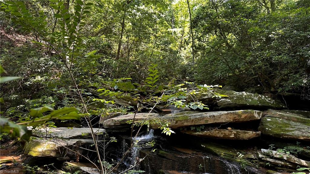 0 River Road Boonville, NC 27011 - Photo 22 of 30 Gallery Image 22